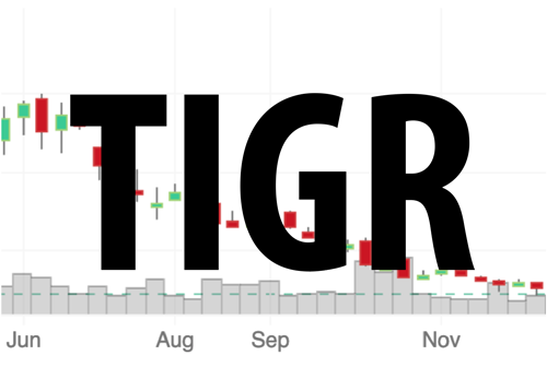TIGR SPO