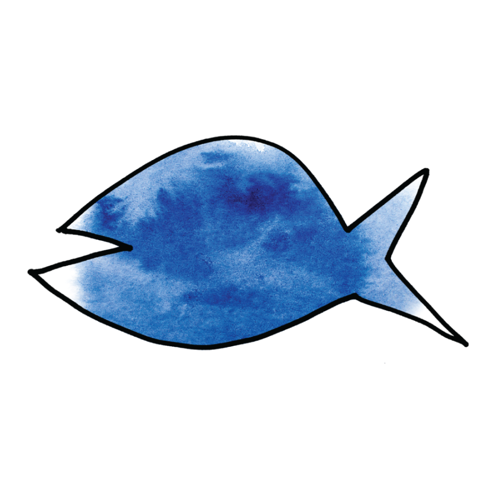 Blue-Grouper-case